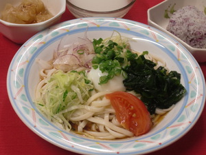 8月22日サラダうどん.JPG