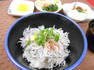 10月4日釜揚げしらす丼.JPG