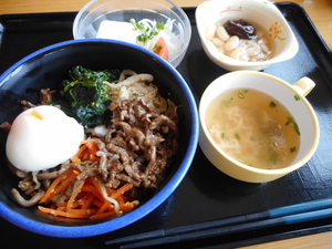 8月31日牛焼肉ビビンバ丼.JPG