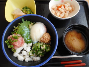 11月1日　五種のねばとろ丼　.JPG