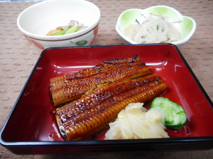 11月3日　国産鰻の蒲焼き.JPG