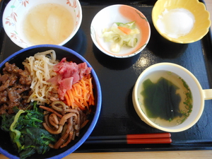 11月7日　ビビンバ丼.JPG