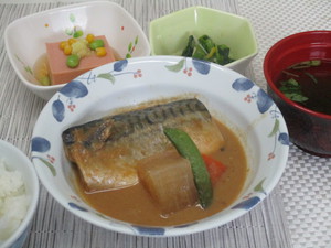 4月28日昼.JPG