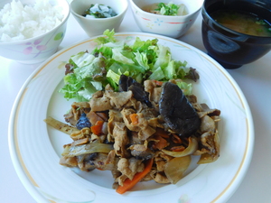 DSCN6380[1].JPG