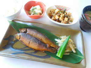 DSCN6433.JPG