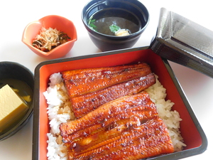 DSCN6437.JPG