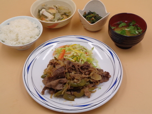 1月5日　牛焼肉と彩り生野菜.JPG