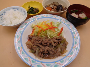 2月16日　彩り生野菜と牛焼肉.JPG