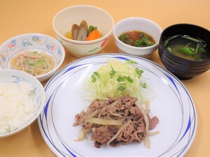 4月13日　牛焼肉さっぱりおろしソース.JPG