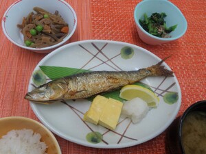 20240609昼.JPG